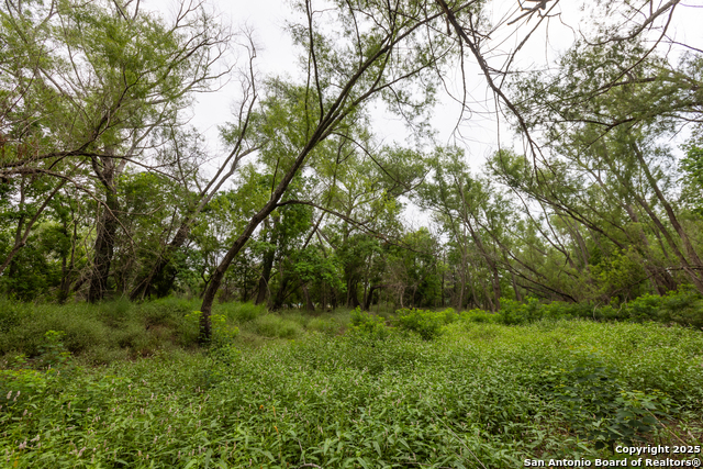 00 Shepherd Rd Property Photo 5