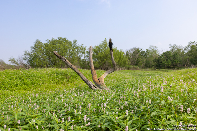 00 Shepherd Rd Property Photo 14