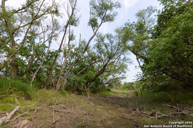 00 Shepherd Rd Property Photo 18