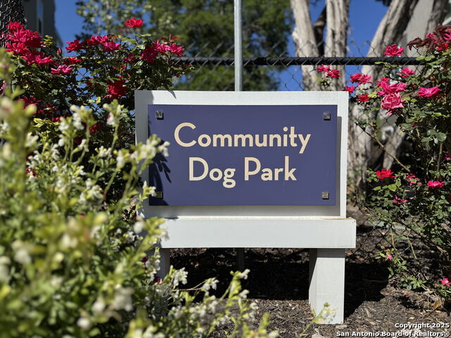 5843 Whitby Rd Property Photo 31