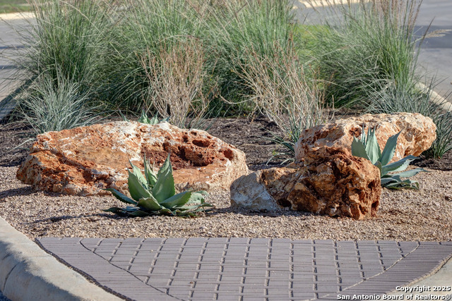 1913 Luna Street Property Photo 31