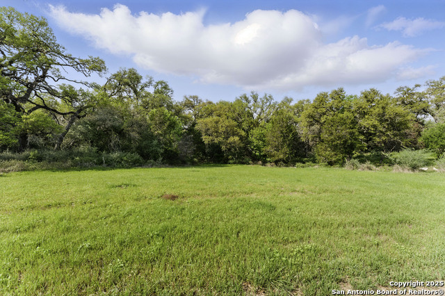 7250 Farm To Market Rd 306 Property Photo 11