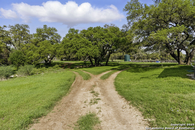 7250 Farm To Market Rd 306 Property Photo 12