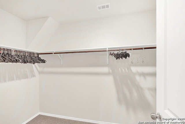 256 Middle Green Loop Property Photo 22