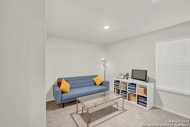 256 Middle Green Loop Property Photo 23