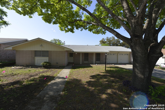 218 Trafalgar Property Photo