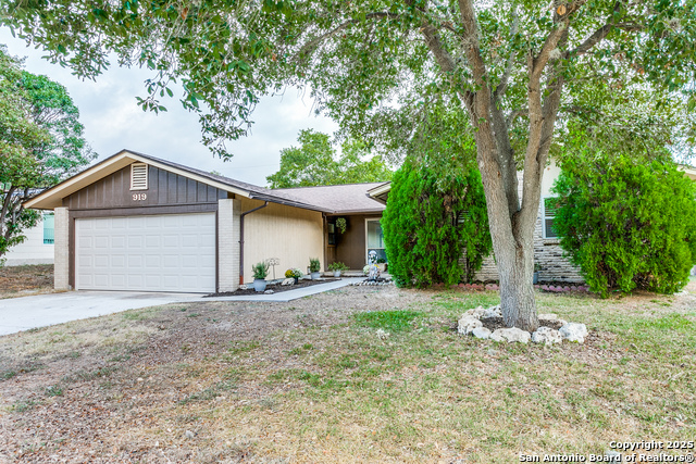 919 Morey Peak Property Photo