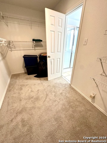 7827 Oakdale Park Property Photo 23