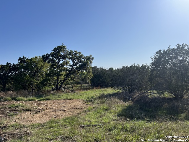 145 Elm Property Photo