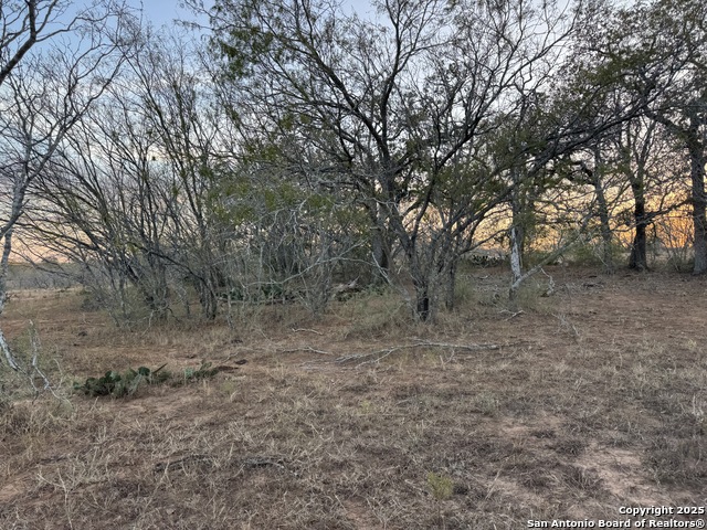 Tbd Fm 1681 Property Photo 1