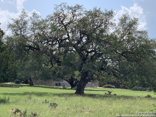 Lot 203 Palomino Springs Property Photo