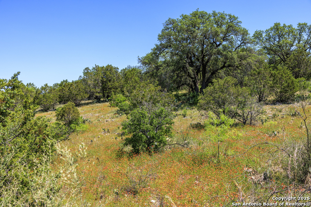 256 Persimmon Point Property Photo 54