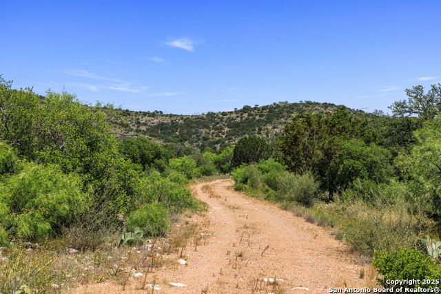 256 Persimmon Point Property Photo 55