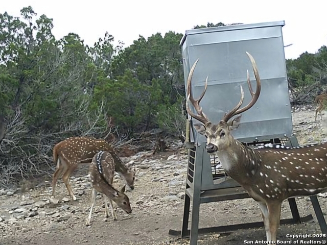Tbd West Nueces Ranch, Lot 20 Property Photo