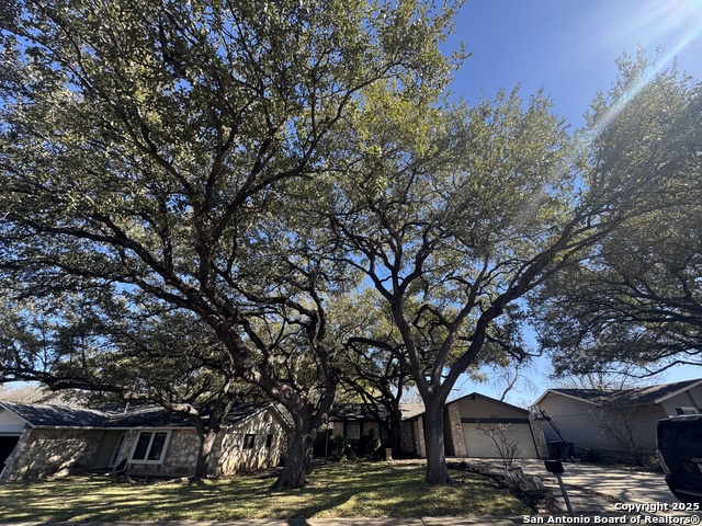 4046 Briarcrest Property Photo