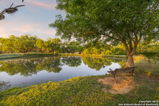 4416 County Road 117 Property Photo 7