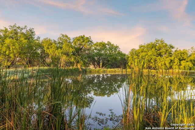 4416 County Road 117 Property Photo 8