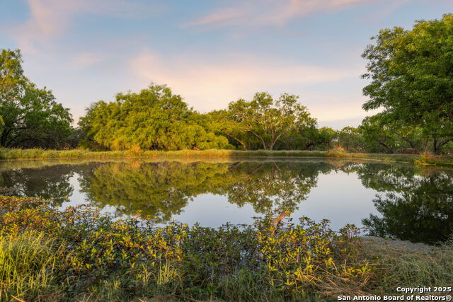 4416 County Road 117 Property Photo 9