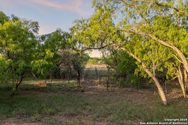 4416 County Road 117 Property Photo 20