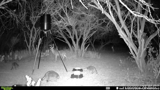 4416 County Road 117 Property Photo 41