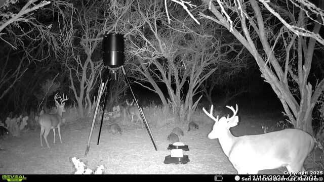 4416 County Road 117 Property Photo 42