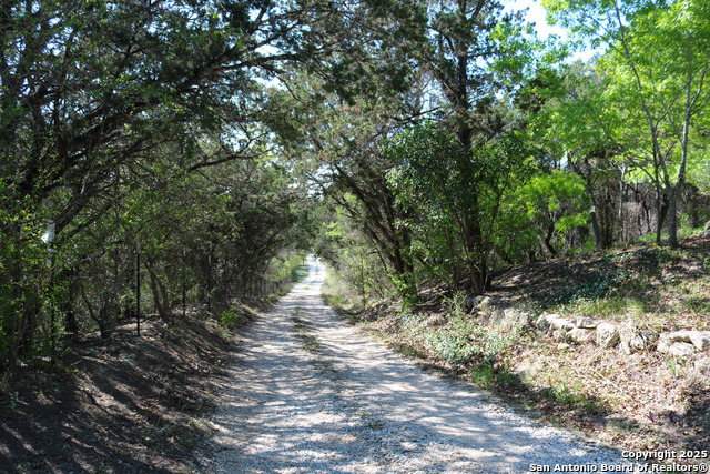 17245 Nacogdoches Rd Property Photo 9