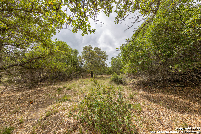 162 Scarlet Property Photo 1