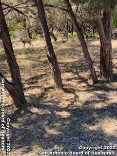 0 BLUE GILL Property Photo 1