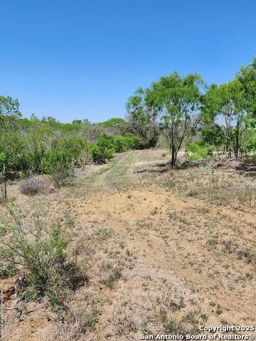 10951 (tract A) Kosub Ln Property Photo 8