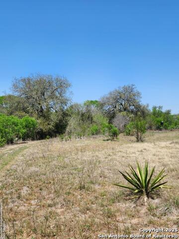 10951 (tract A) Kosub Ln Property Photo 9