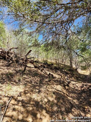 10951 (tract A) Kosub Ln Property Photo 10