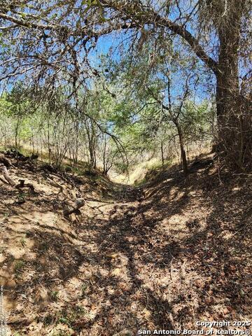 10951 (tract A) Kosub Ln Property Photo 11