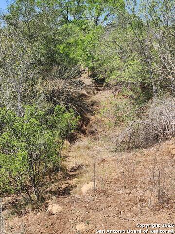 10951 (tract A) Kosub Ln Property Photo 15