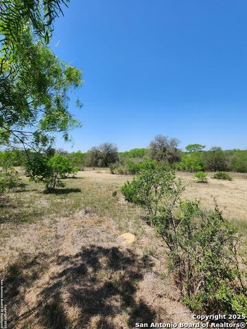 10951 (tract A) Kosub Ln Property Photo 16