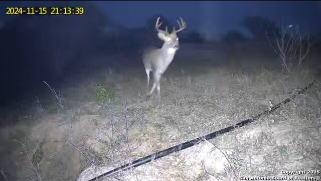 10951 (tract A) Kosub Ln Property Photo 19