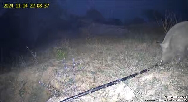 10951 (tract A) Kosub Ln Property Photo 20