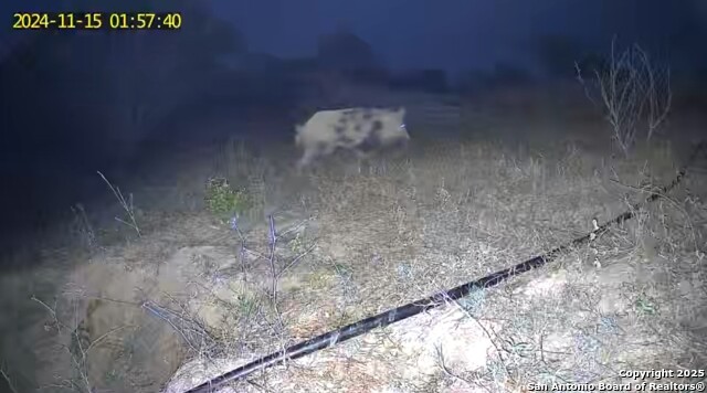 10951 (tract A) Kosub Ln Property Photo 21