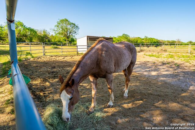2680 County Road 342 Property Photo 43