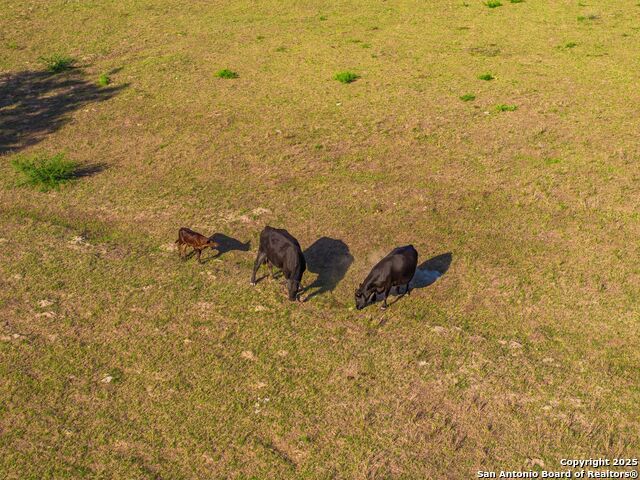 2680 County Road 342 Property Photo 65