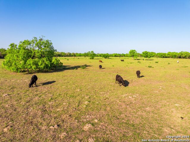 2680 County Road 342 Property Photo 71