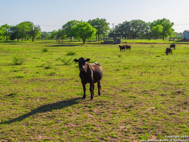 2680 County Road 342 Property Photo 73