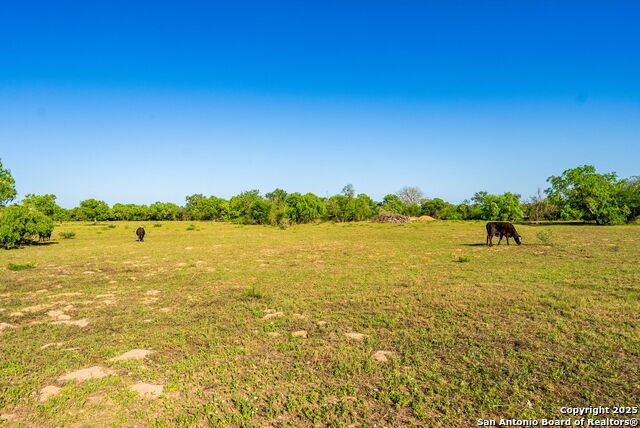 2680 County Road 342 Property Photo 38