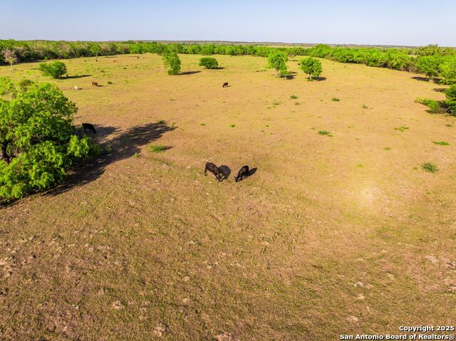 2680 County Road 342 Property Photo 65