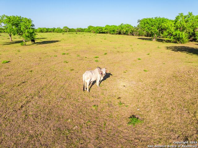 2680 County Road 342 Property Photo 73
