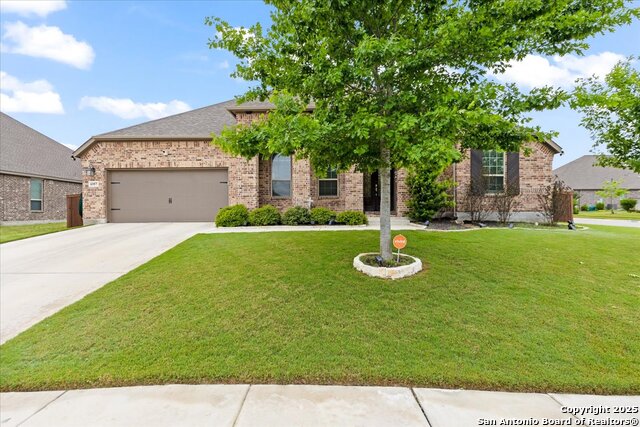 6957 Hallie Loop Property Photo 4