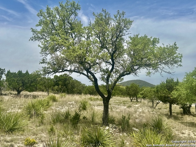 Tbd N Polly Peak Property Photo