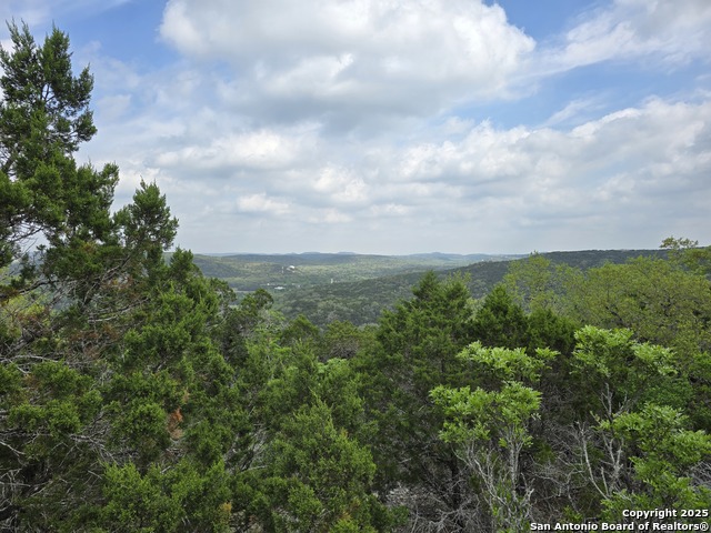 9841 Tower View Property Photo