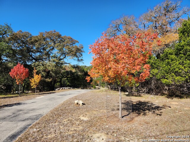 501 River Mountain Drive Property Photo 53