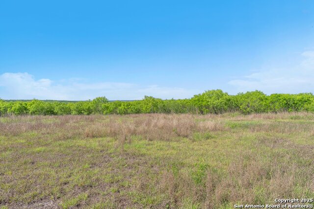 163 Irmas Dr Property Photo 28