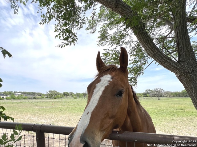 545 Highgate Dr. Property Photo 35